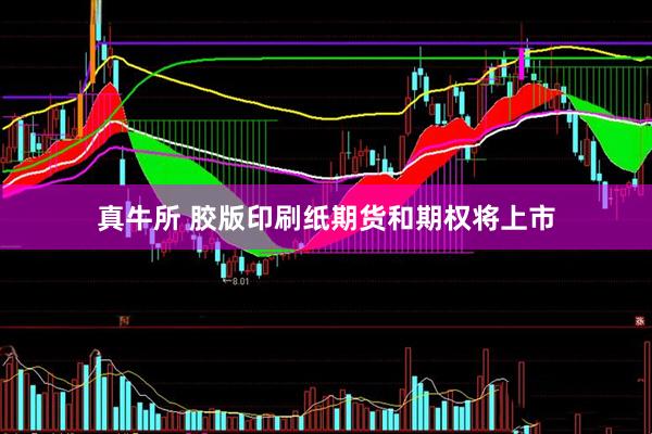 真牛所 胶版印刷纸期货和期权将上市