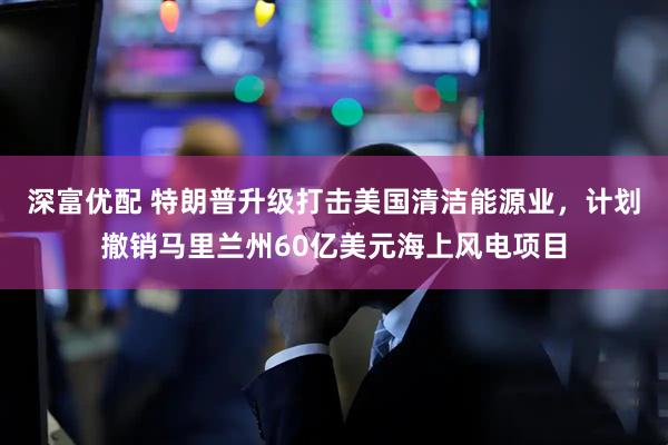 深富优配 特朗普升级打击美国清洁能源业，计划撤销马里兰州60亿美元海上风电项目
