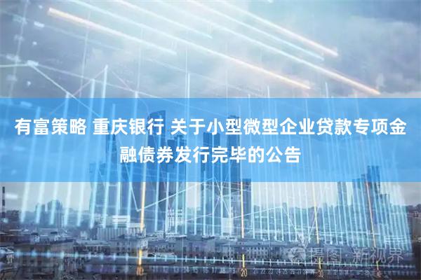 有富策略 重庆银行 关于小型微型企业贷款专项金融债券发行完毕的公告