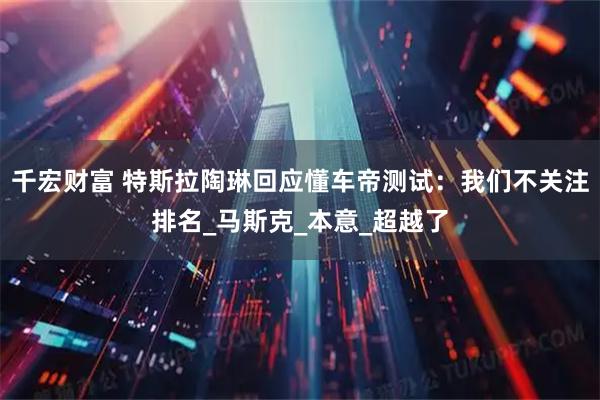 千宏财富 特斯拉陶琳回应懂车帝测试：我们不关注排名_马斯克_本意_超越了