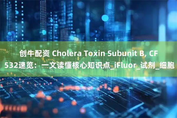 创牛配资 Cholera Toxin Subunit B, CF 532速览：一文读懂核心知识点_iFluor_试剂_细胞