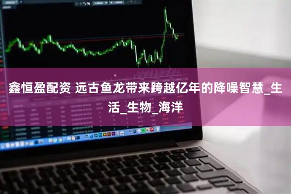 鑫恒盈配资 远古鱼龙带来跨越亿年的降噪智慧_生活_生物_海洋