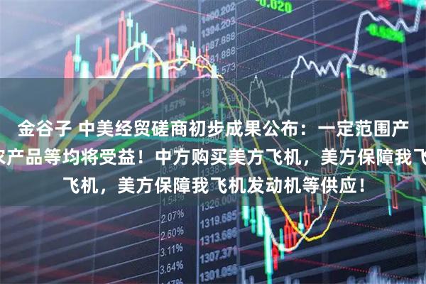 金谷子 中美经贸磋商初步成果公布：一定范围产品的相互降税，农产品等均将受益！中方购买美方飞机，美方保障我飞机发动机等供应！