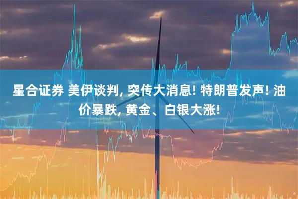 星合证券 美伊谈判, 突传大消息! 特朗普发声! 油价暴跌, 黄金、白银大涨!