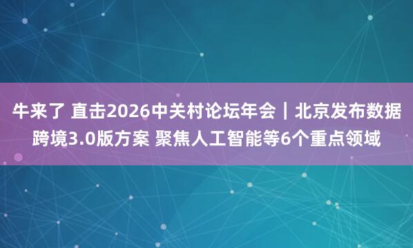 牛来了 直击2026中关村论坛年会｜北京发布数据跨境3.0版方案 聚焦人工智能等6个重点领域
