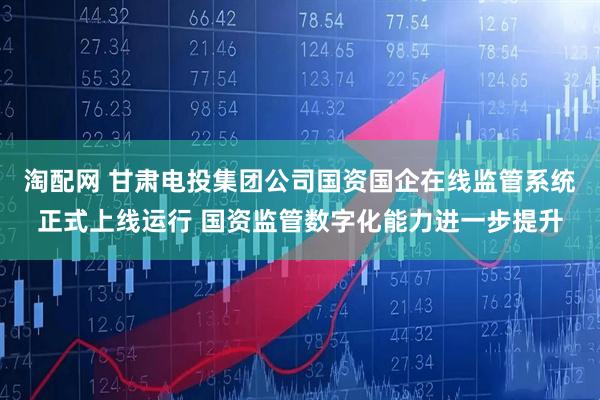淘配网 甘肃电投集团公司国资国企在线监管系统正式上线运行 国资监管数字化能力进一步提升