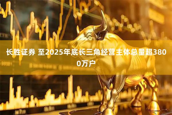 长胜证券 至2025年底长三角经营主体总量超3800万户